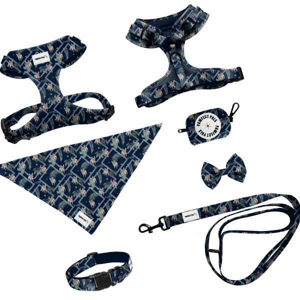 Florida Frenchie Harness and Leash Set