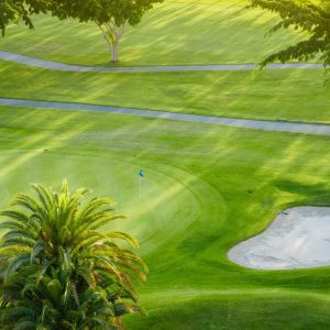 Palm Beach Gardens Golf Course View